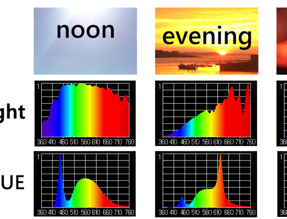 exploring how natural light colors our world Sunlight Inside