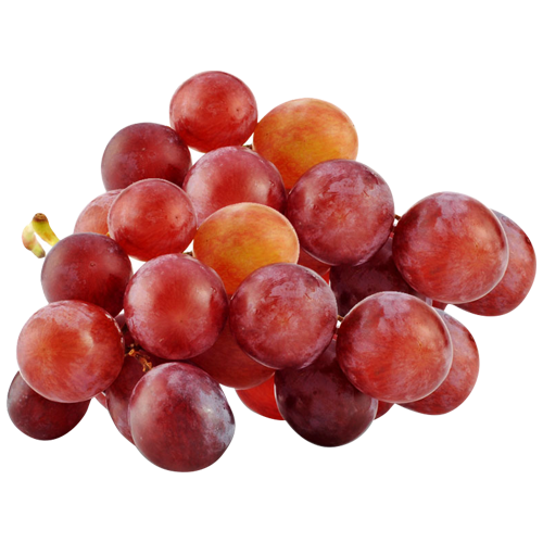 Seasonal Fruits SunMoon Food