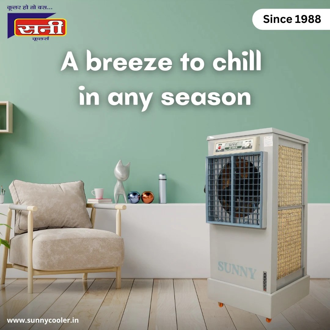 Affordable and Effective Swamp Air Cooler