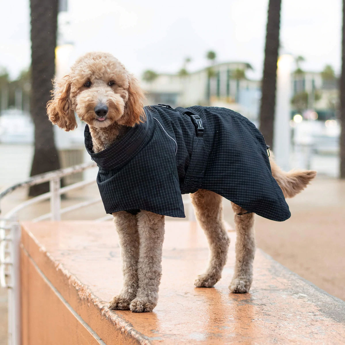 Canada Pooch Complete Coverage Dog Rain Jacket SunnySports