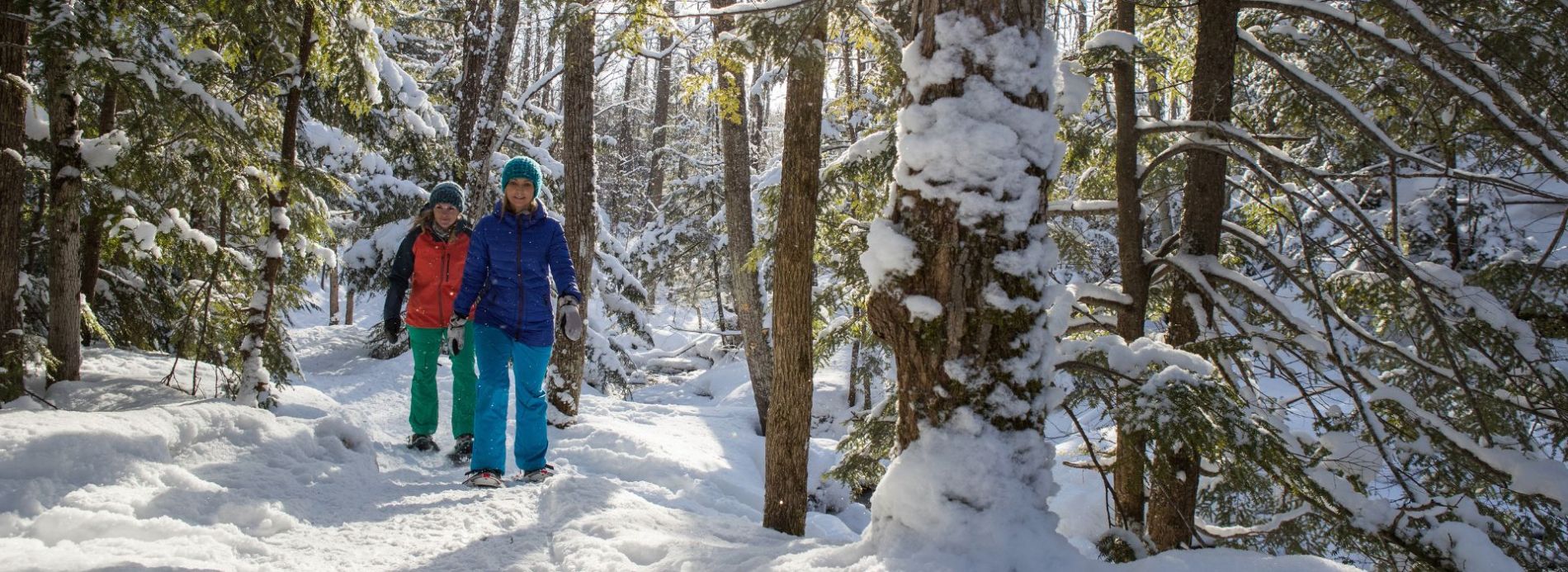 Explore Sun Peaks Trails with a Snowshoe Excursion