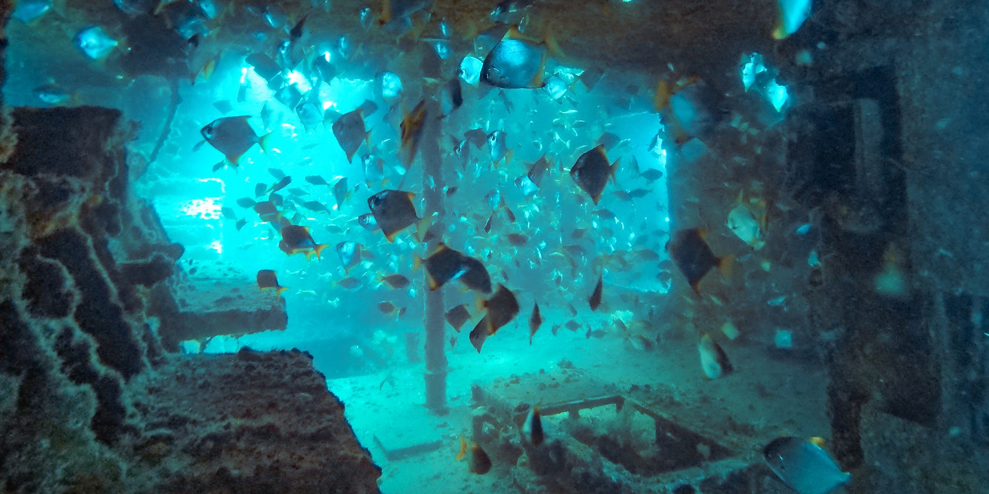 ExHMAS Brisbane Double Dive Sunreef