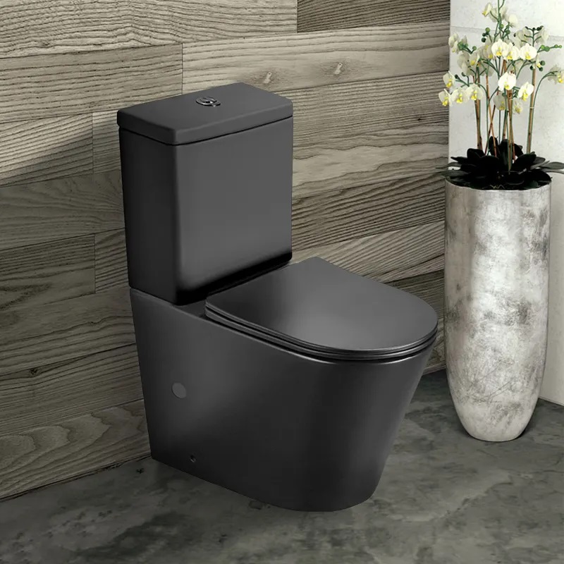 Unique black toilet gives people a different feeling ABNewswire