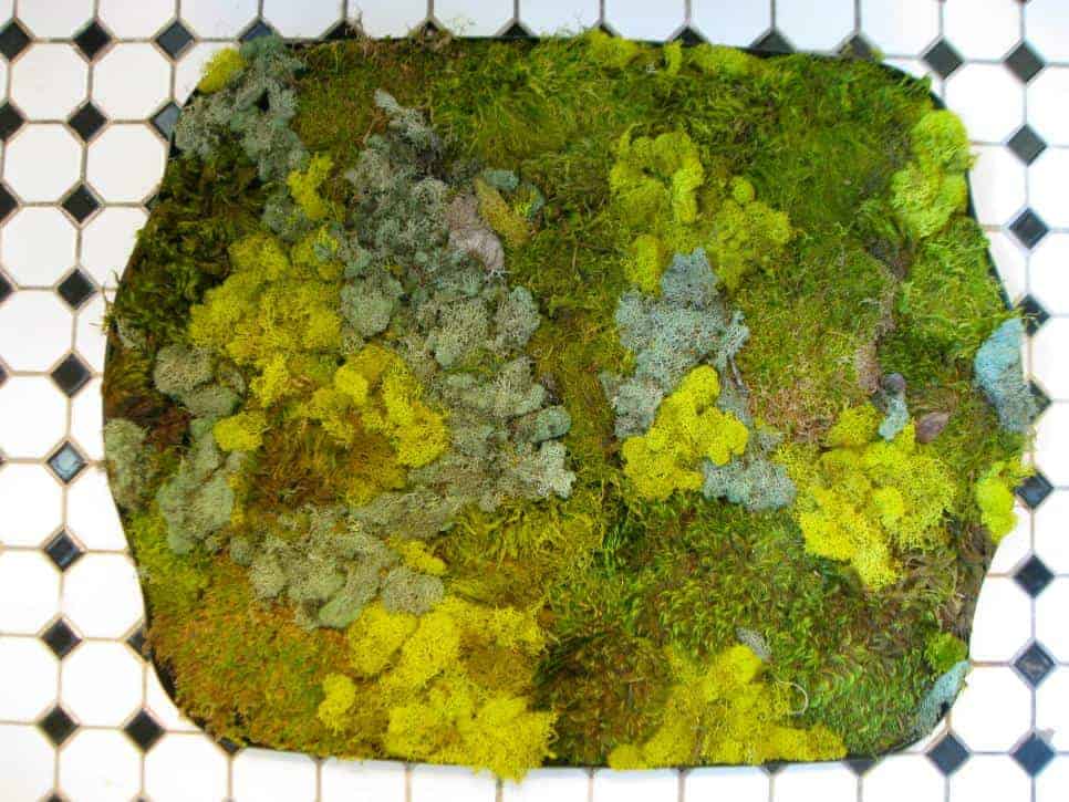 31 DIY Homemade Moss Bath Mat Ideas