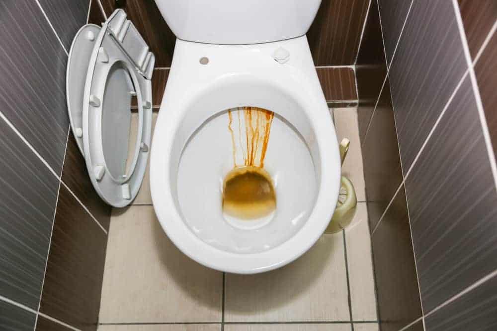 How to Remove Rust Stains from Toilets? (6 Easy Ways)