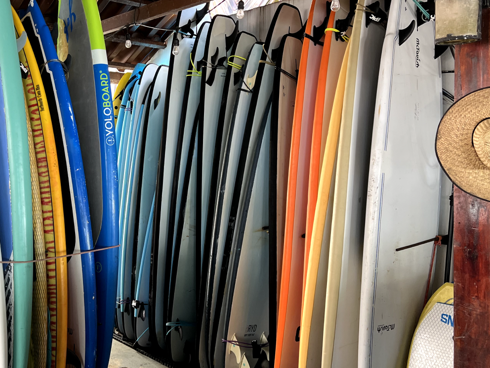 Surfboard Rentals Sunrise Surf School Jaco, Costa RIca