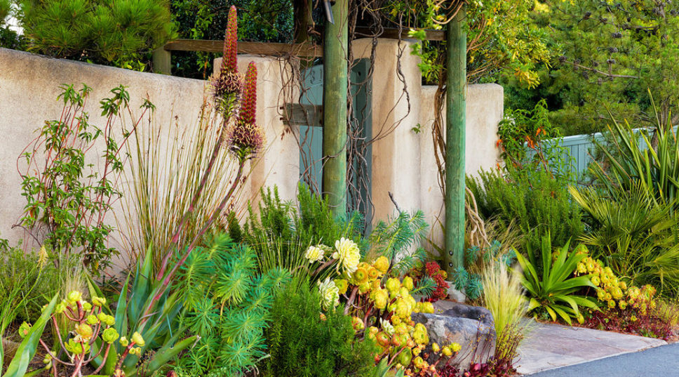Garden Landscaping and Design Ideas Sunset Magazine