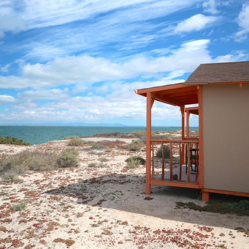 San Ignacio, Baja California Sur Adventure Getaway
