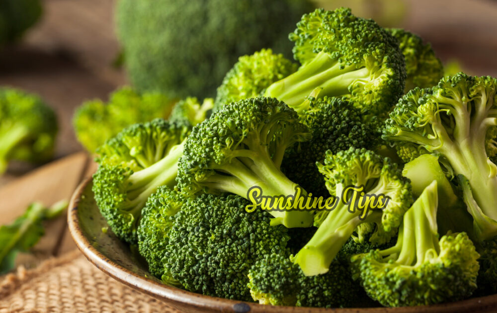 Broccoli Uses, side effects, and nutritional information Sunshine Tips