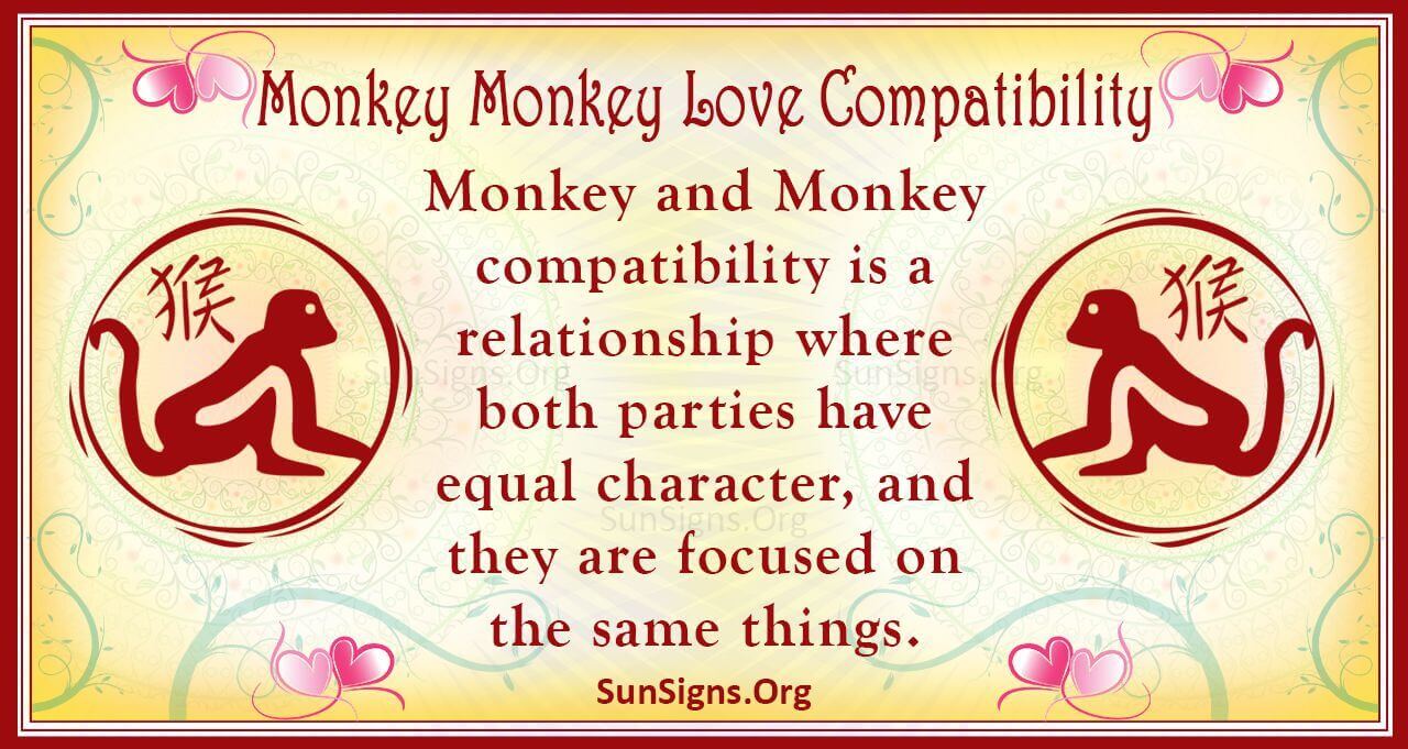 Monkey And Monkey Compatibility Seductive Connection