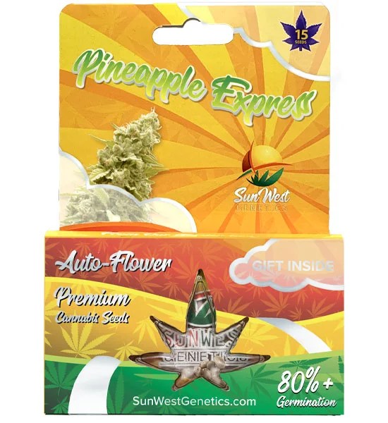 Pineapple Express Strain Autoflowering SunWest