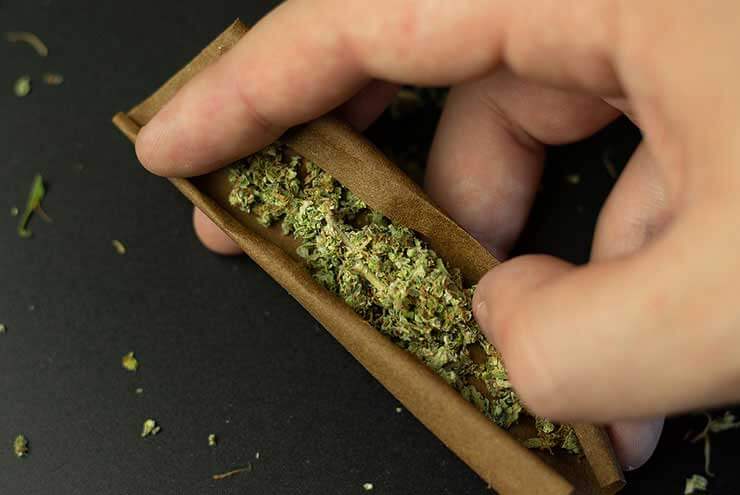 Cannabis Basics Rolling A Blunt SunWest
