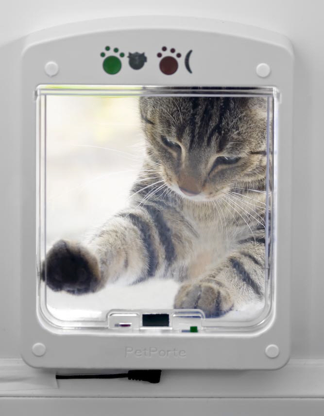 PetPorte; Petport; Chip; Microchip; gechippte Katzen; the
