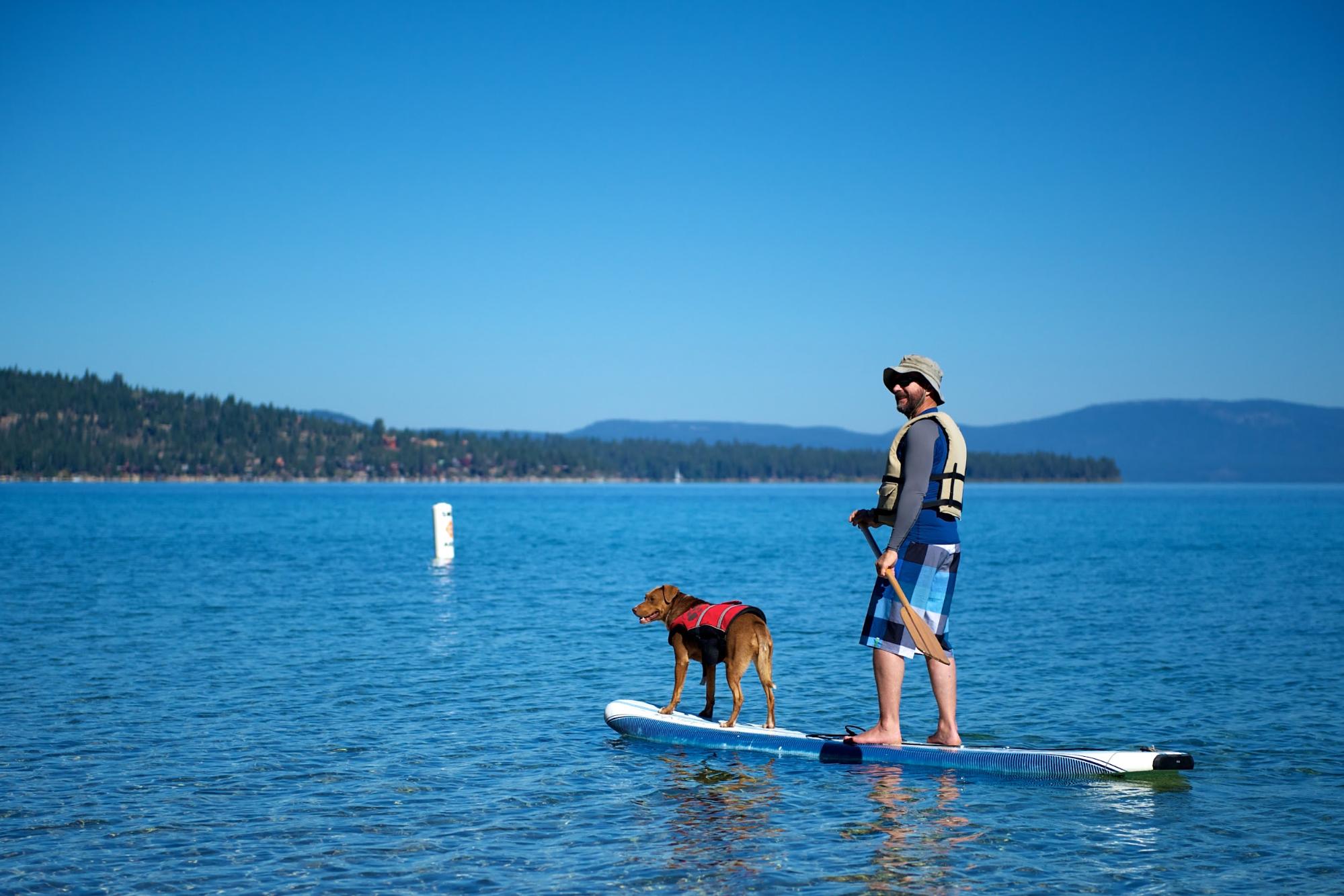 Can Dogs Go On Inflatable Paddle Boards?