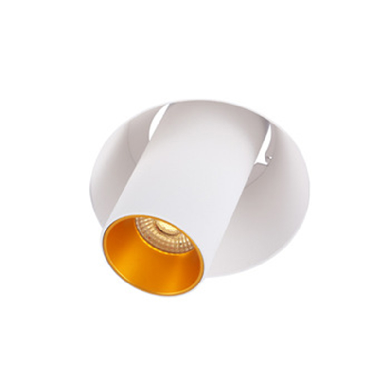 Trimless adjustable downlight, recessed lighting