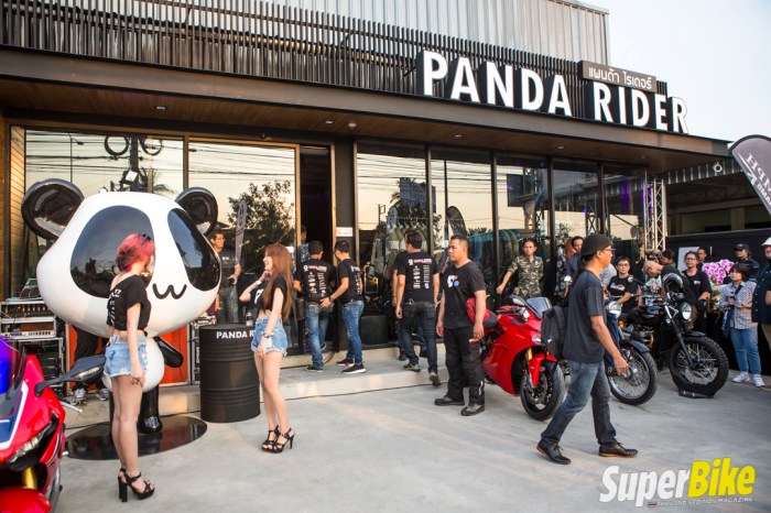Cool Panda Biker Wallpaper - free download Cool Panda Biker Wallpaper - free download