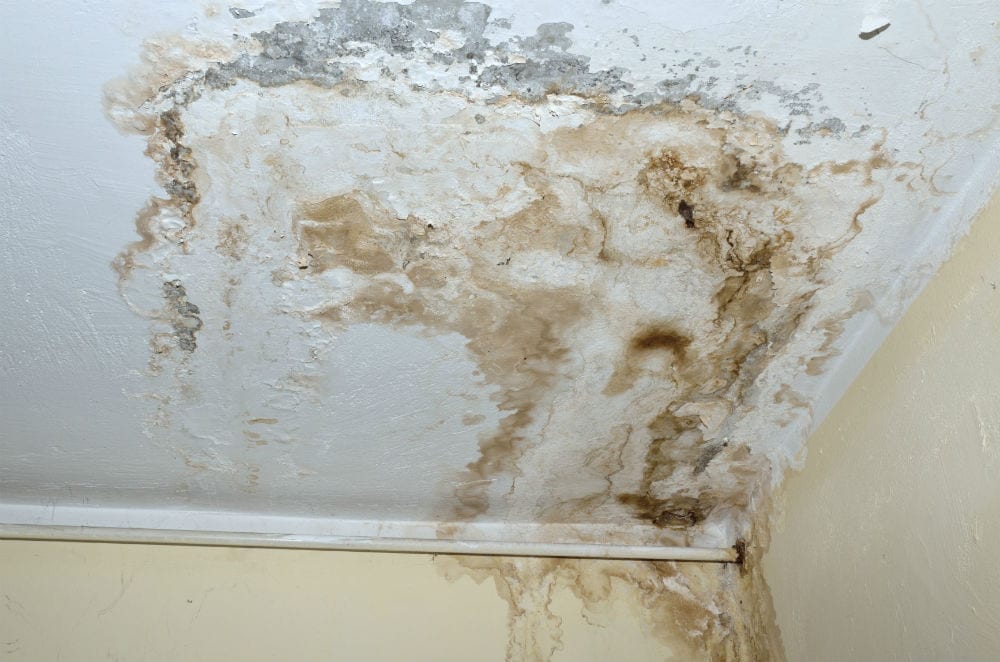 Mold Remediation & Testing MA Water Damage Restoration Boston
