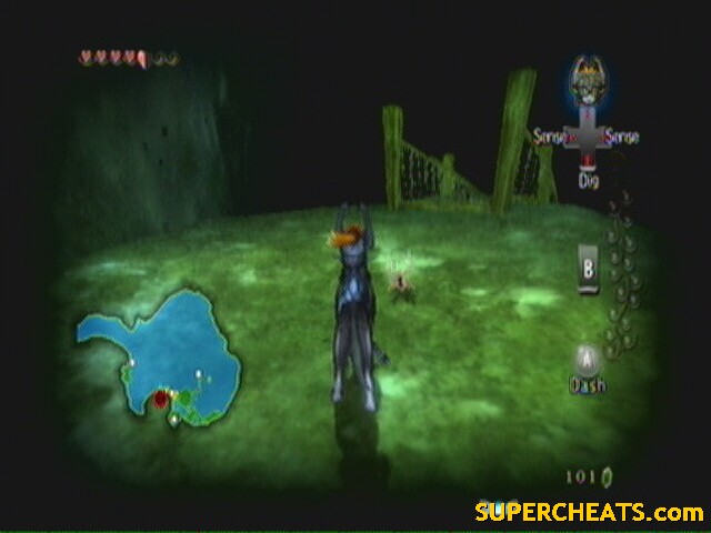 Forest Temple The Legend of Zelda Twilight Princess Guide and