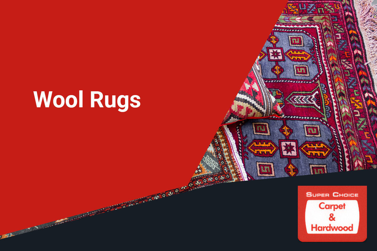 How to Choose Best PetFriendly Rugs Carpet Stores Mississauga