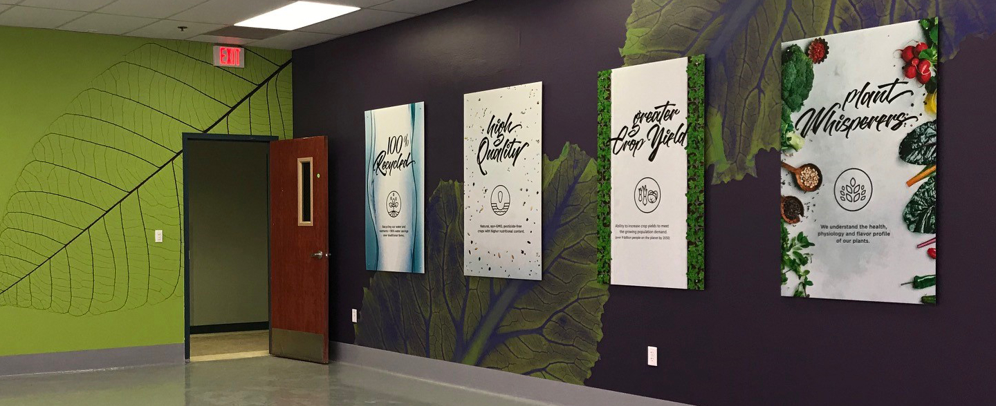 Oasis Biotech Super Color Digital