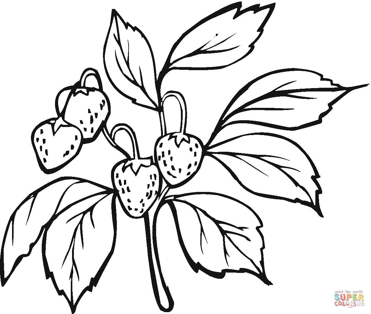 Dibujo de Fresas en la rama para colorear Dibujos para colorear
