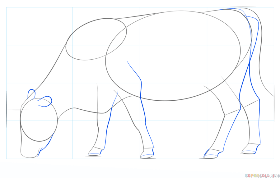 How to draw a cow Step by step Drawing tutorials