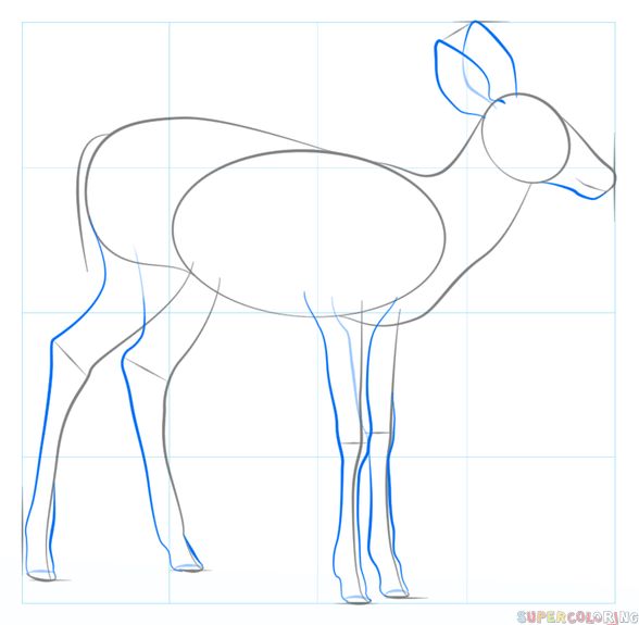 35+ Latest Baby Deer Drawing Easy Step By Step Inter Venus