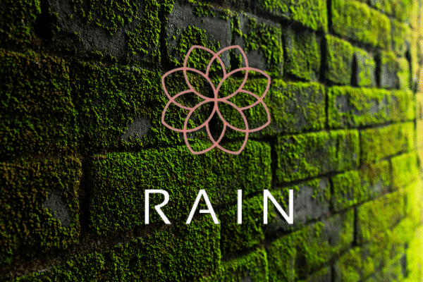 Bahrainbased Rain Cryptocurrency Exchange Secures 6 Million From