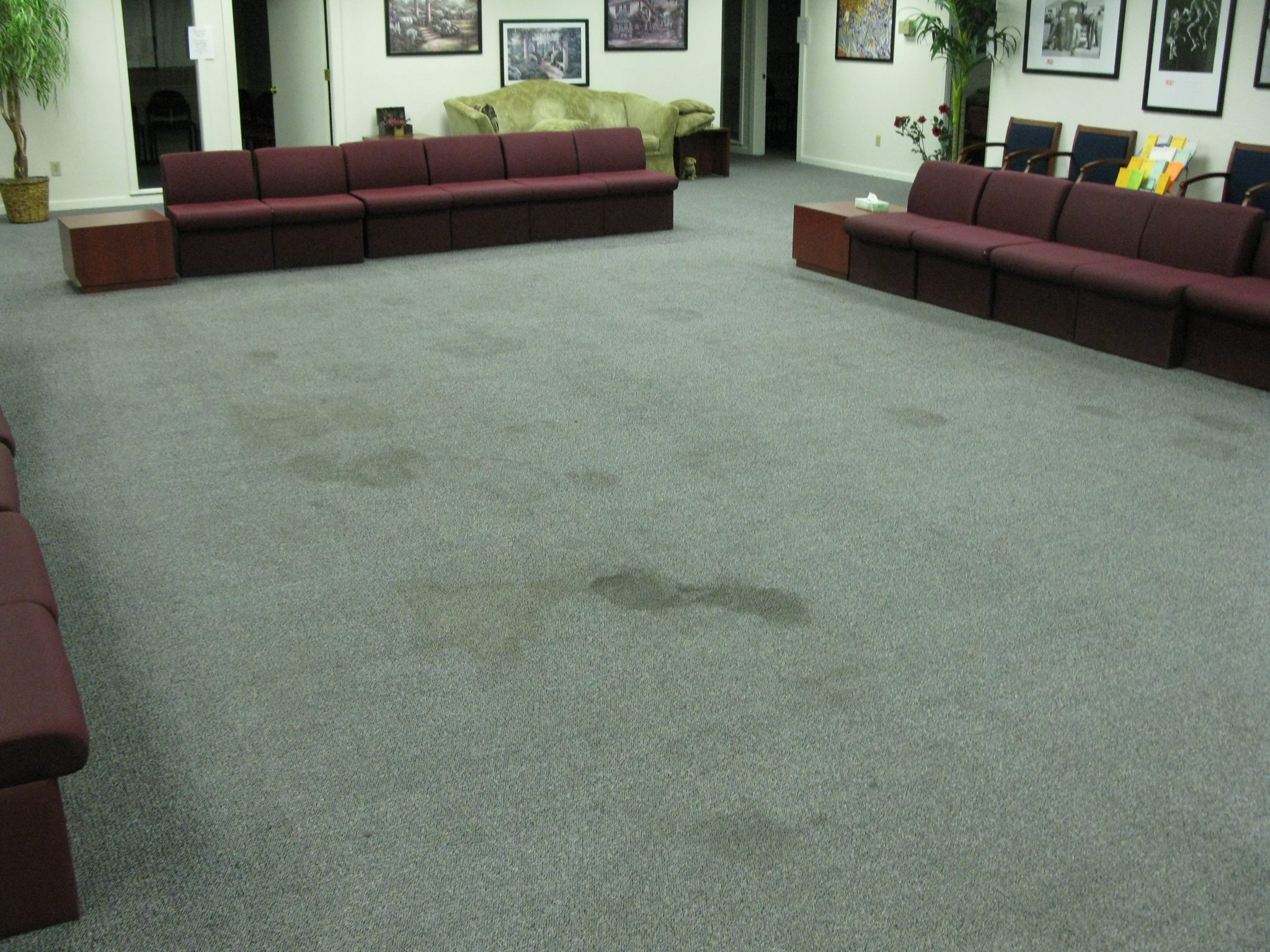 Gallery Superior Carpet and Rug Cleaning Knoxville