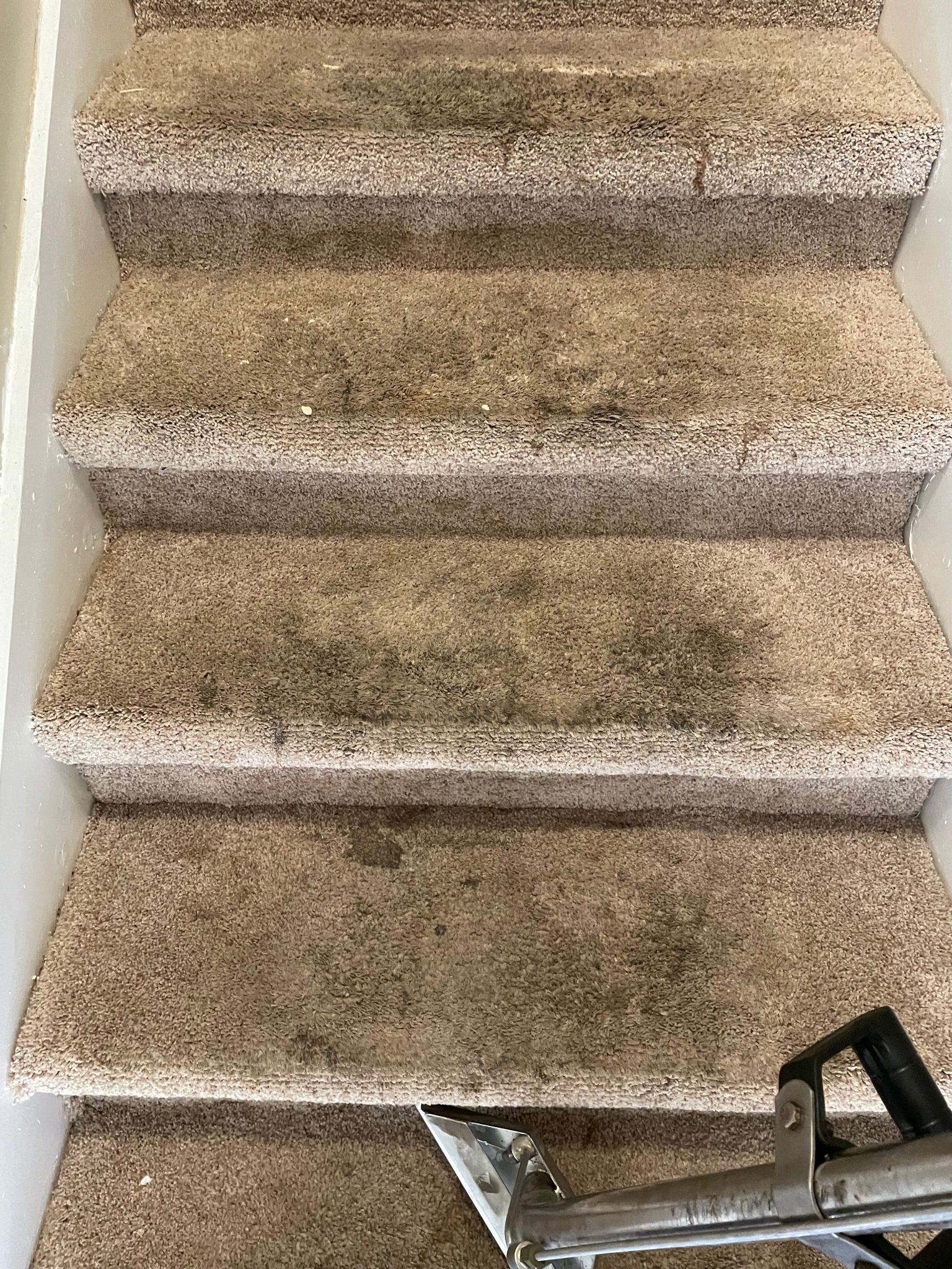 Gallery Superior Carpet and Rug Cleaning Knoxville