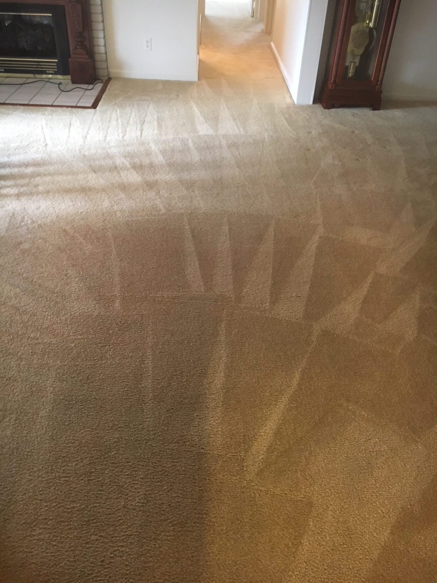 Gallery Superior Carpet and Rug Cleaning Knoxville