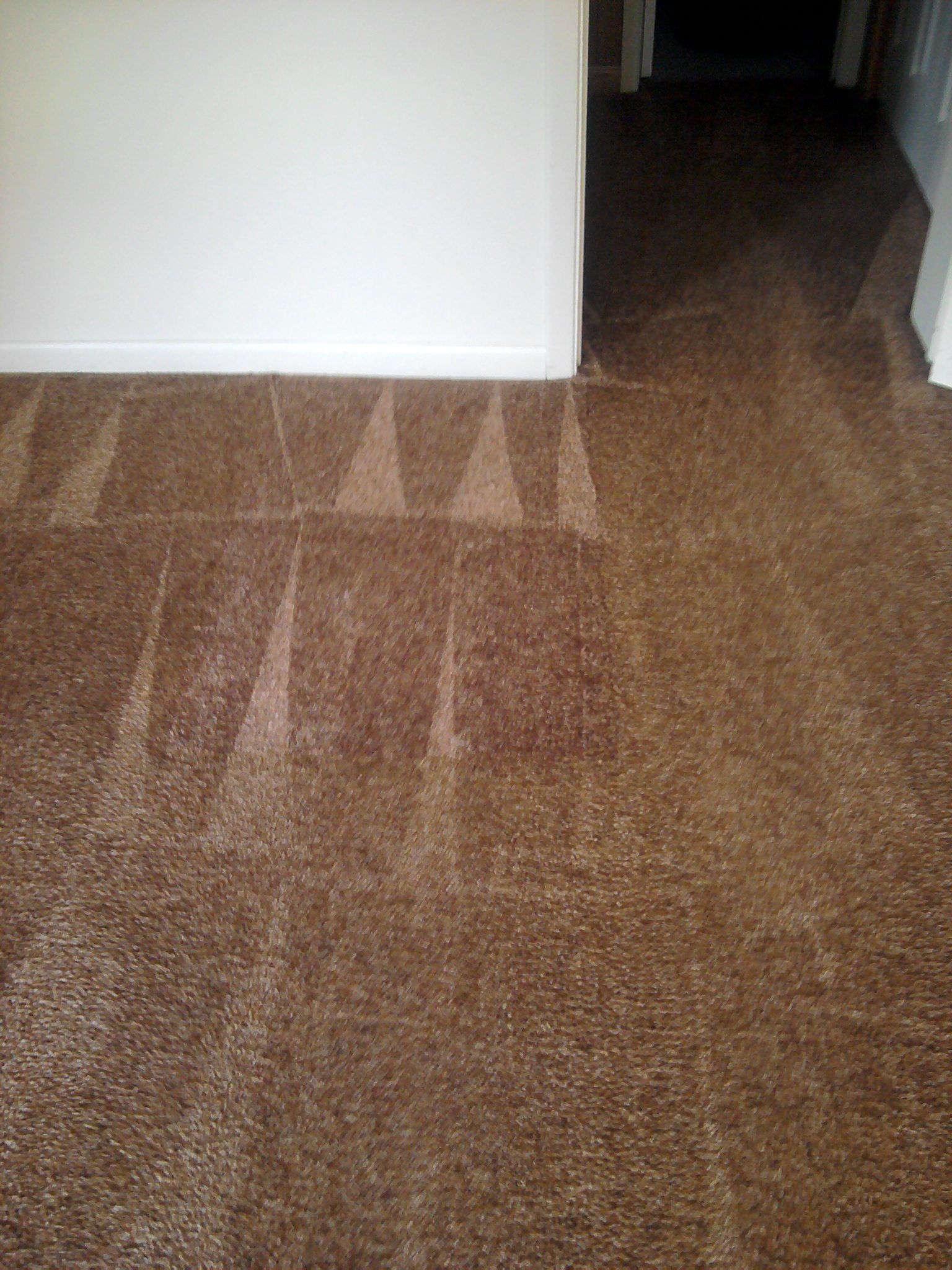 Gallery Superior Carpet and Rug Cleaning Knoxville