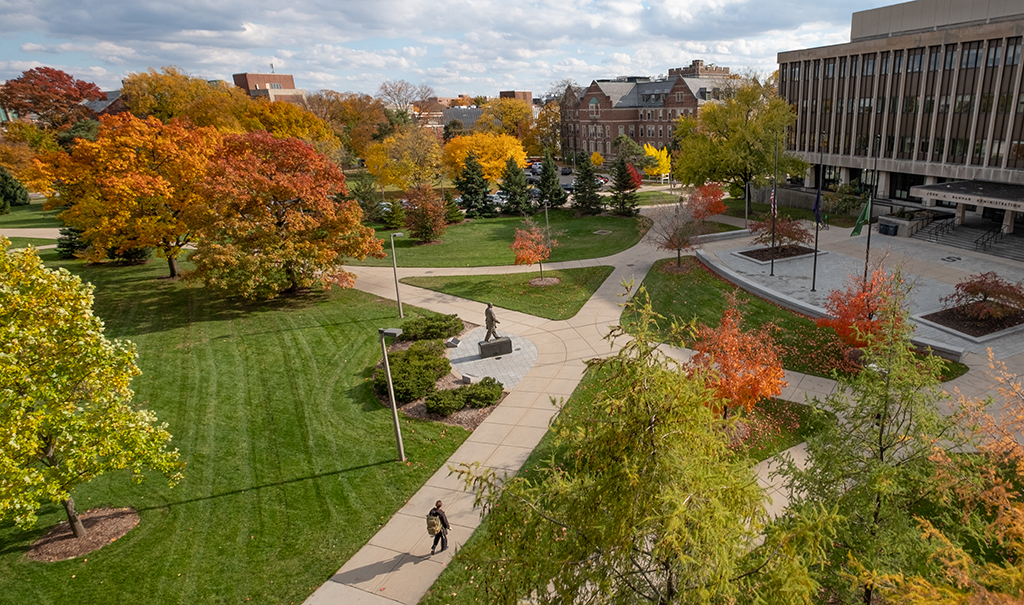 Michigan State Campus