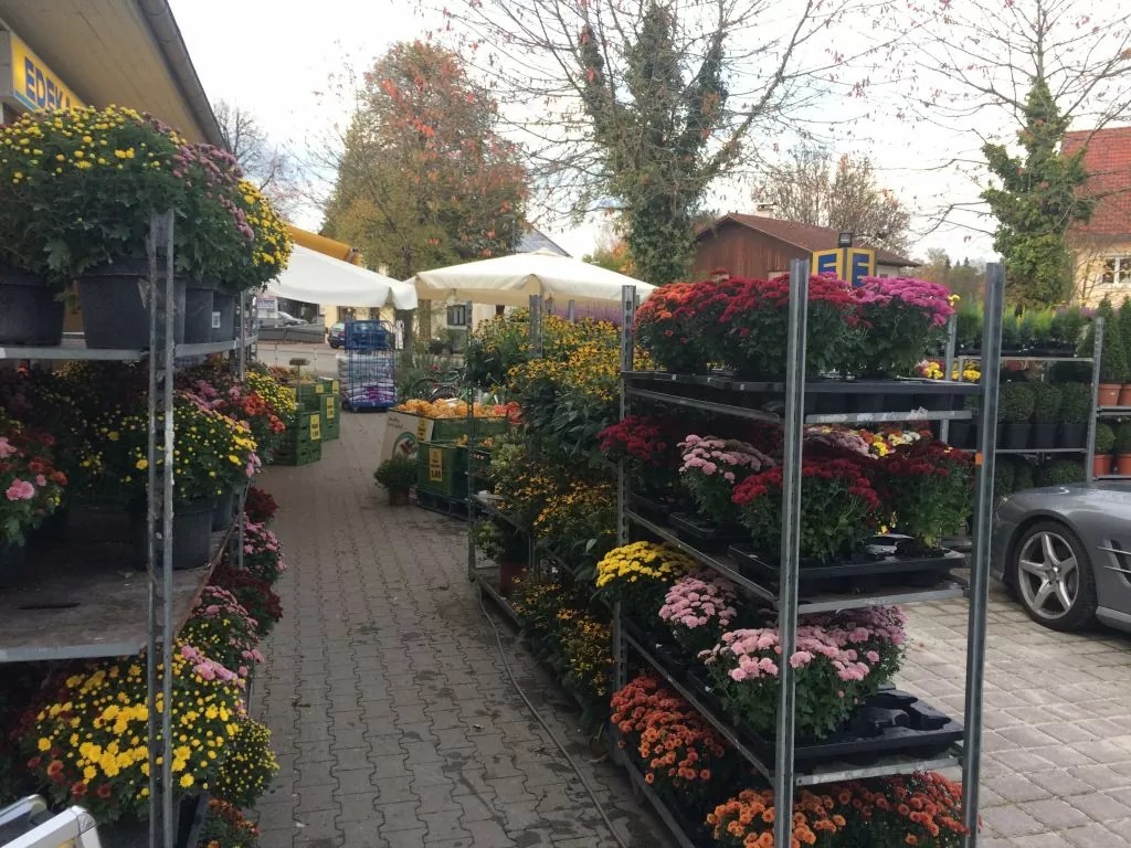 Die PflanzenDiscounter Supermarkt Inside