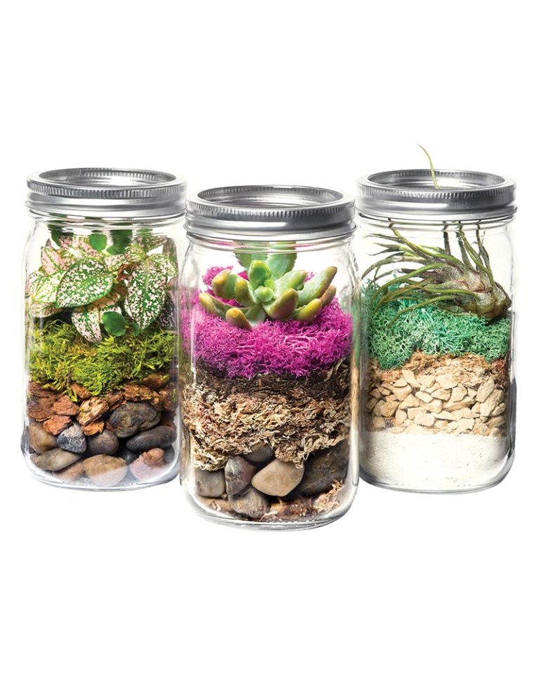 SuperMoss Terrarium Kit DIY Jar, Portland, 32oz Mason Jar