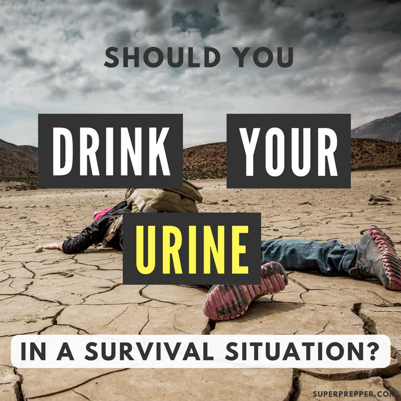 Drinking Urine in Survival Situations Is It Safe? Super Prepper