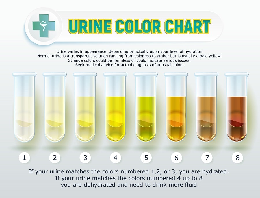 Drinking Urine in Survival Situations Is It Safe? Super Prepper