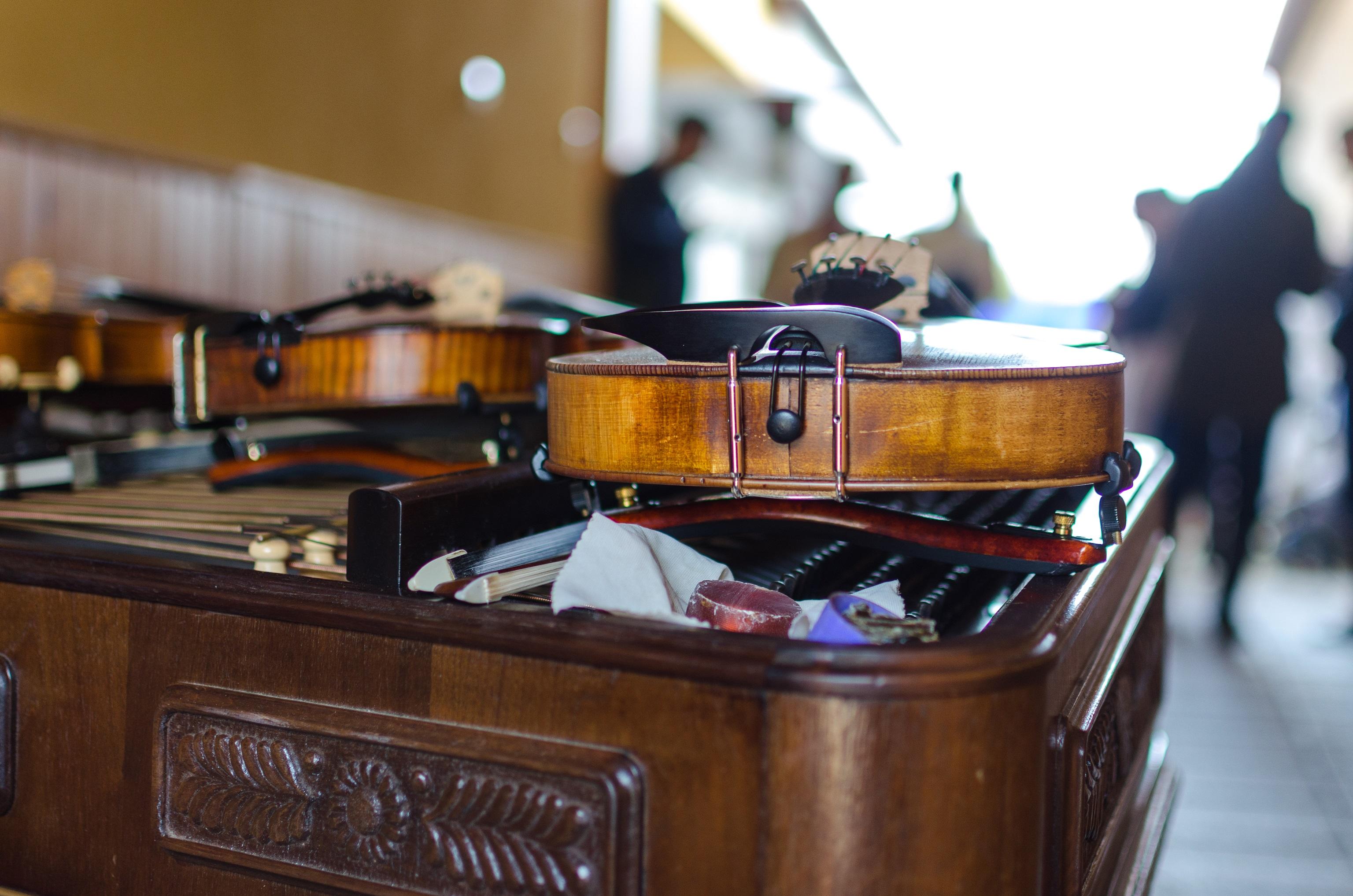 How Much Are Violin Tutor Rates? Superprof