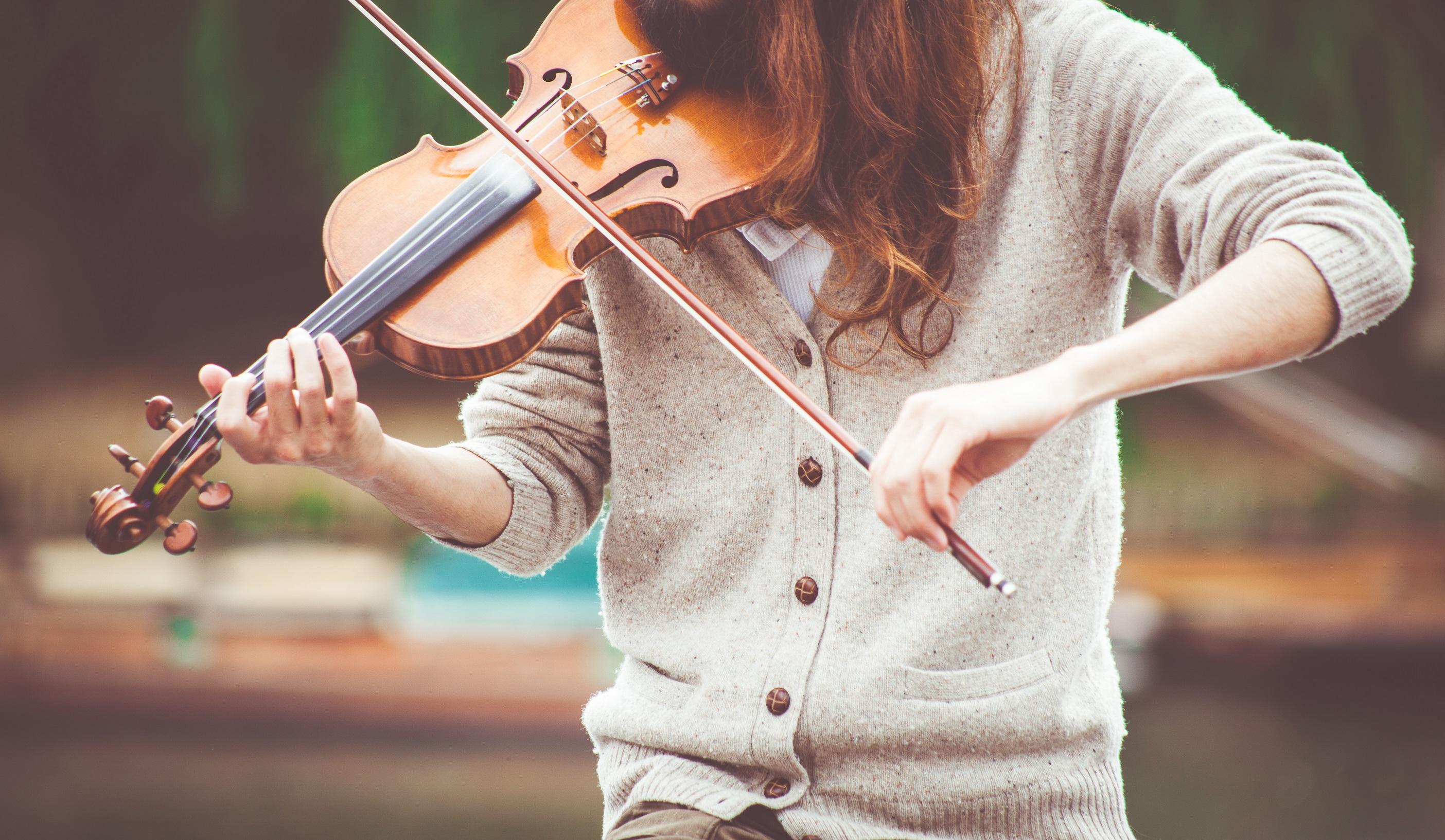 Violin Facts Everything You Need to Know About the Violin