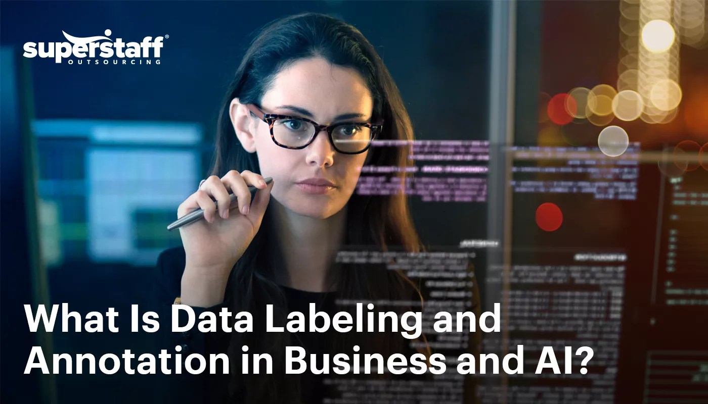 What Is Data Labeling and Annotation in Business and AI?