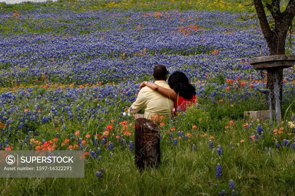 African American, Castilleja, Ennis, Lake Bardwell, Lupinus texensis