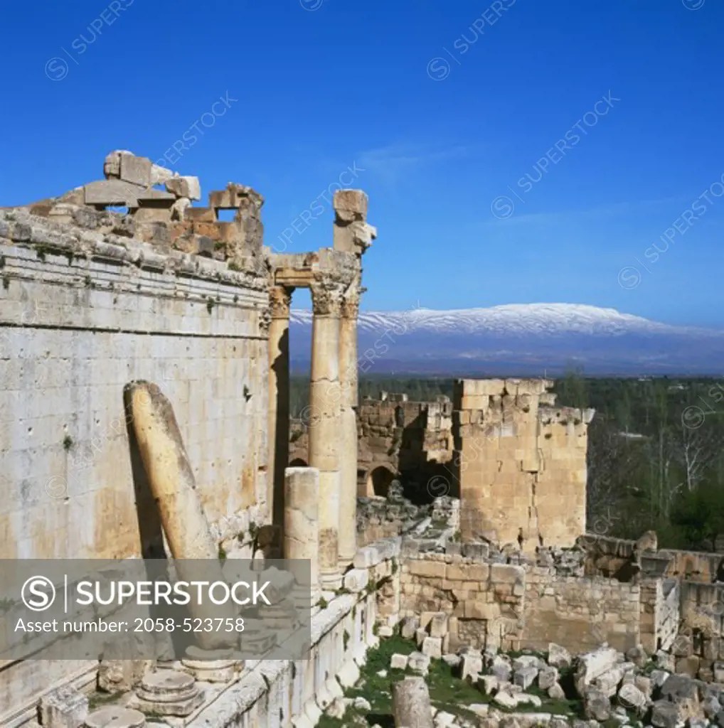 Temple of Bacchus Baalbek Lebanon SuperStock