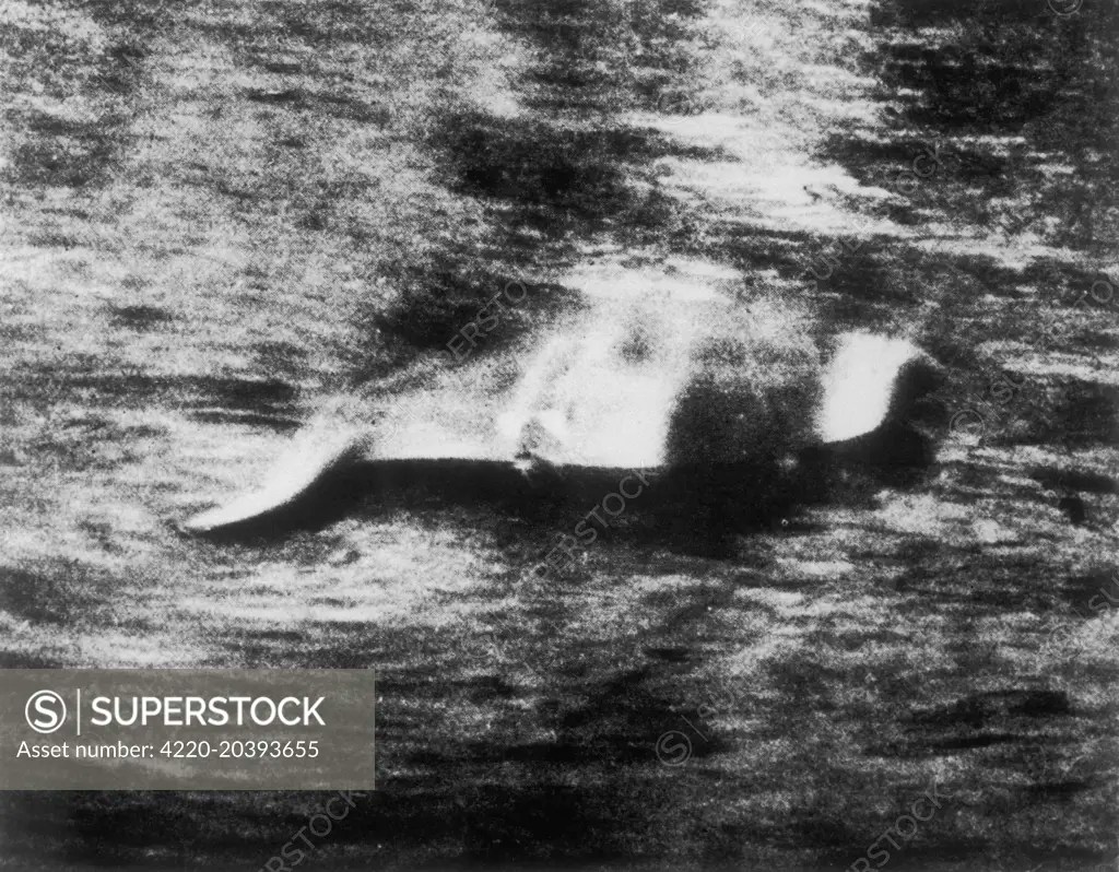 A photograph of the Loch Ness Monster taken by Hugh Gray. 12 November
