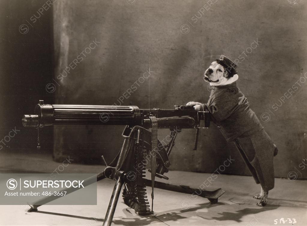 ""The Big Dog House"" an all ""barkies"" directed by Jules White and