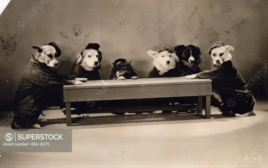 ""The Big Dog House"" an all ""barkies"" directed by Jules White and