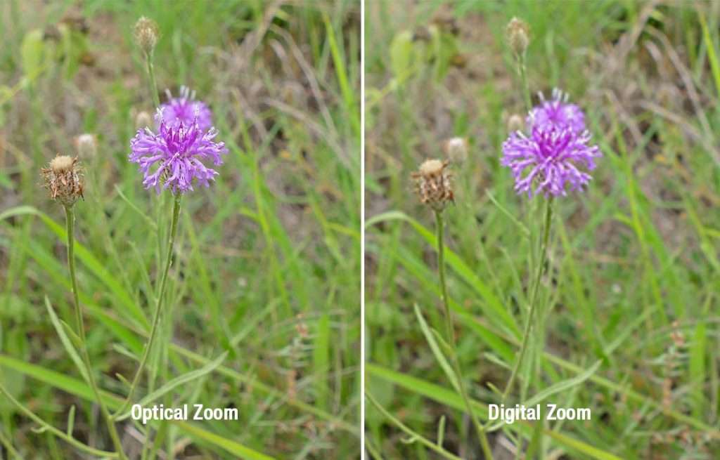 Optical Zoom vs Digital Zoom Understanding the Difference Supertek