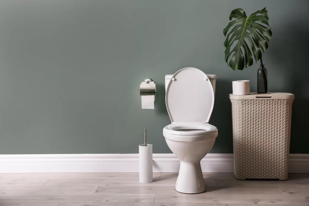 Are Toilet Tablets Safe for Plumbing? Terry's Plumbing