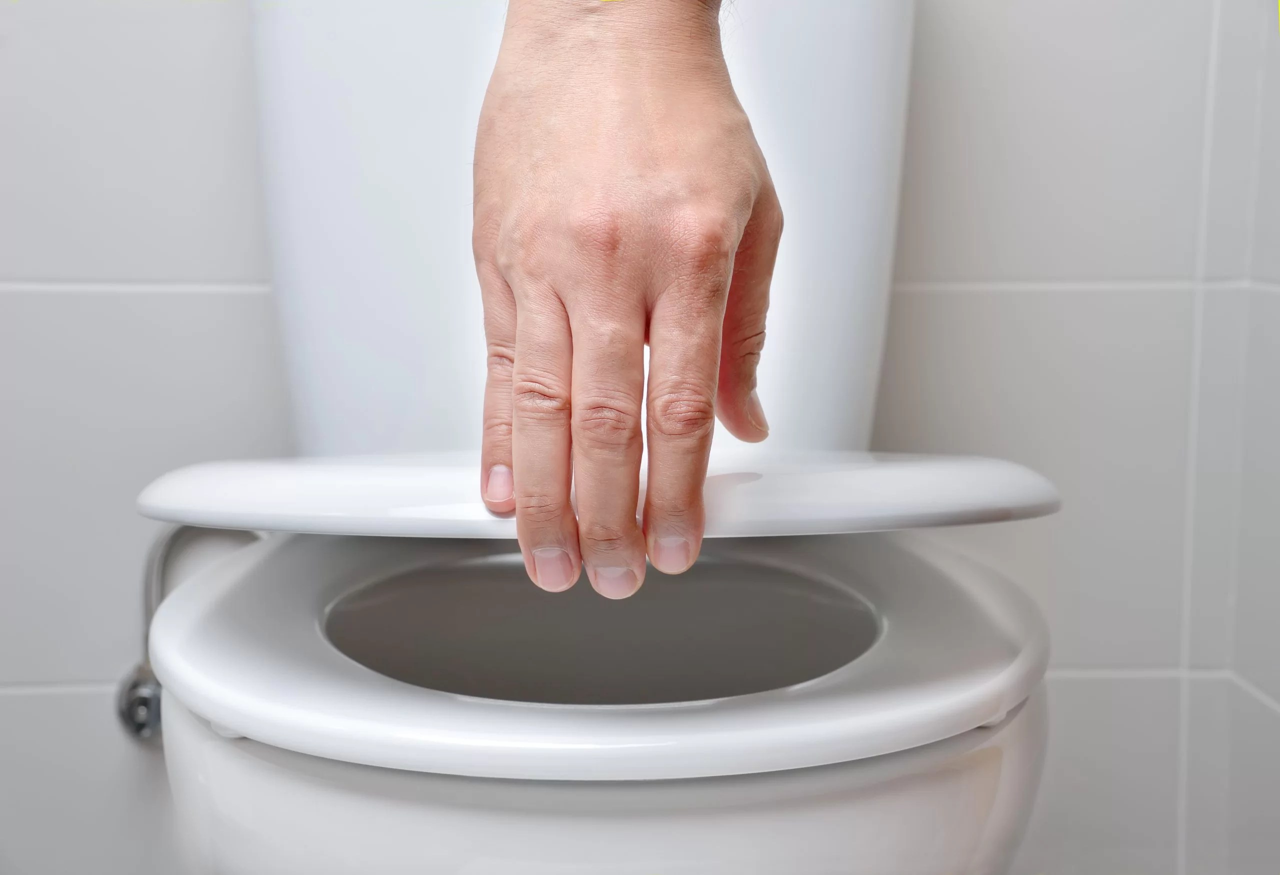 Which Toilet Seat is Best for You? Terry's Plumbing