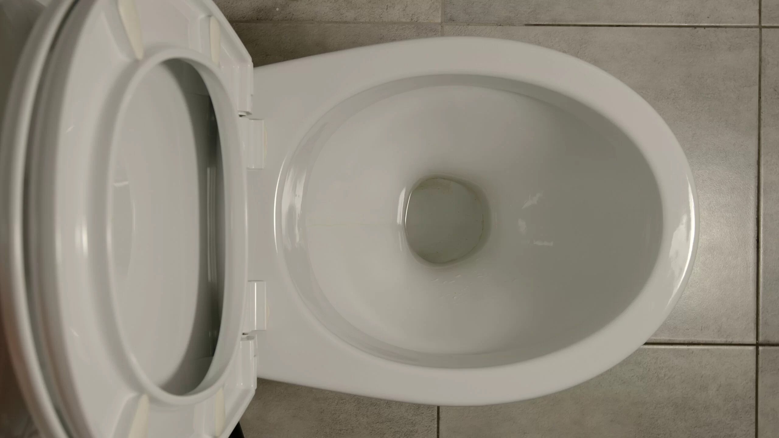 What are the Causes of a Slow Flushing Toilet? Terry's Plumbing