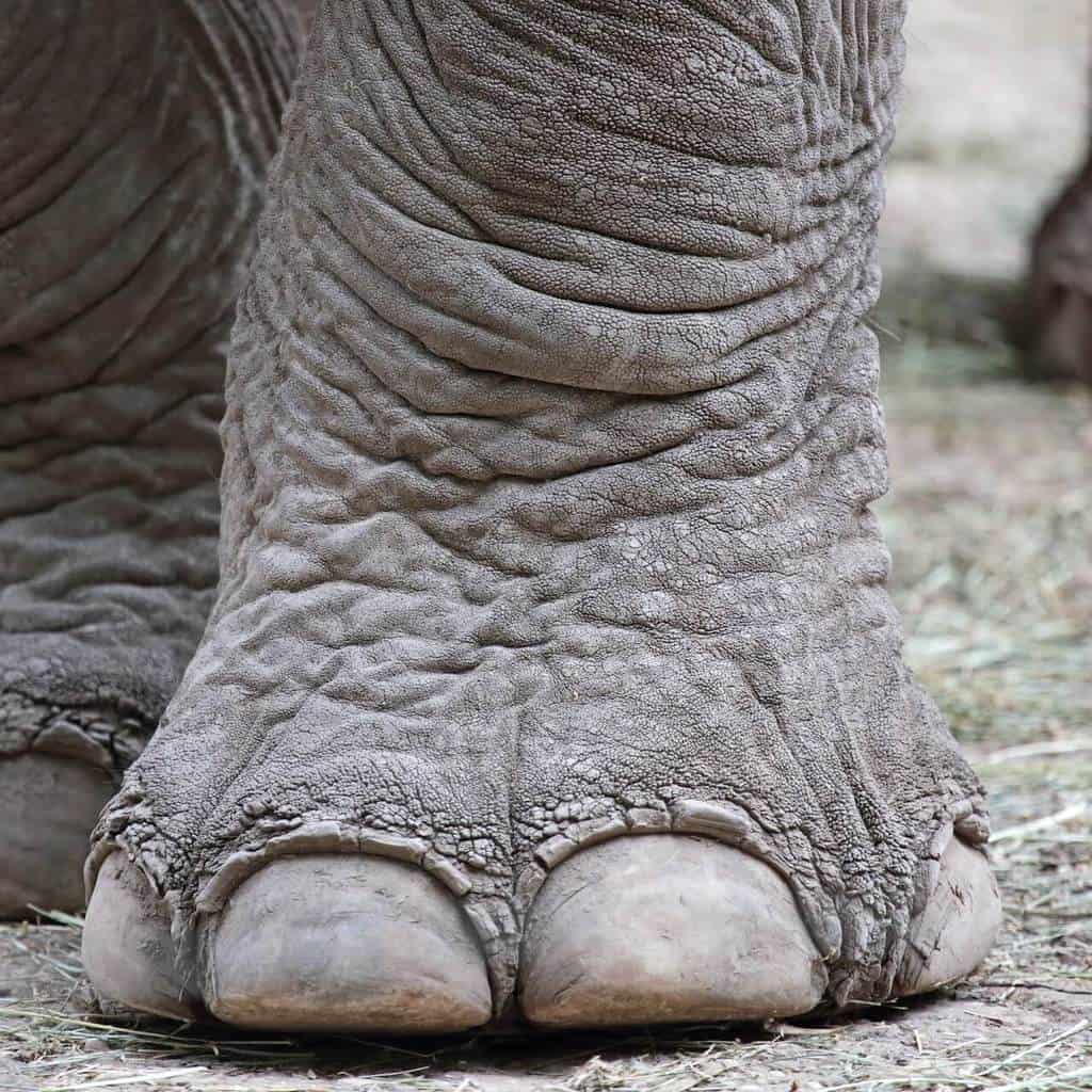 Over The Counter Phentermine Alternatives (UPDATED 2024)